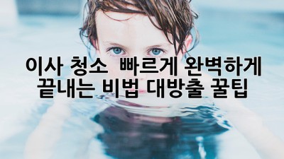 이사 청소 🚀 빠르게! 완벽하게 끝내는 비법 대방출 꿀팁 🍯