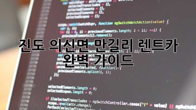 진도 의신면 만길리 렌트카 완벽 가이드 🚗💨